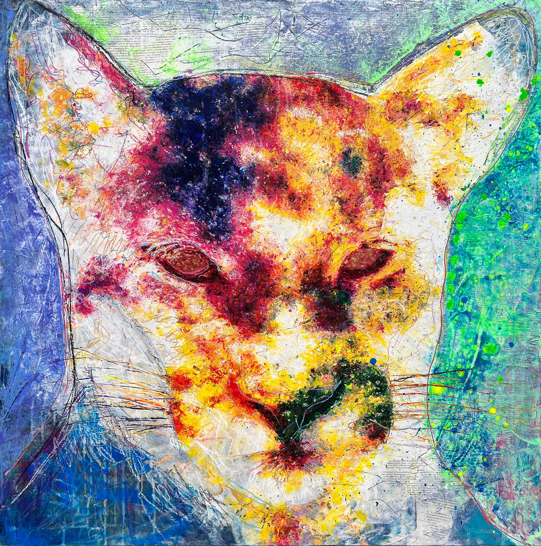 Puma concolor